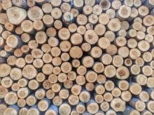 Zasady sprzedaży detalicznej i cennik detaliczny na drewno, stroisz i choinki
