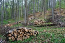 Sprzedaż detaliczna